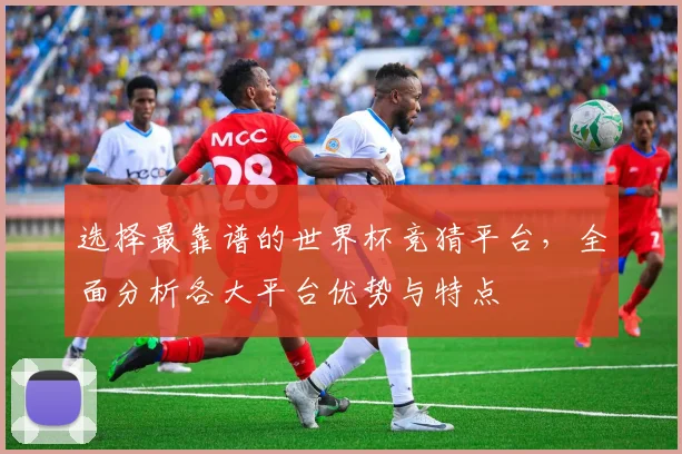 选择最靠谱的世界杯竞猜平台，全面分析各大平台优势与特点