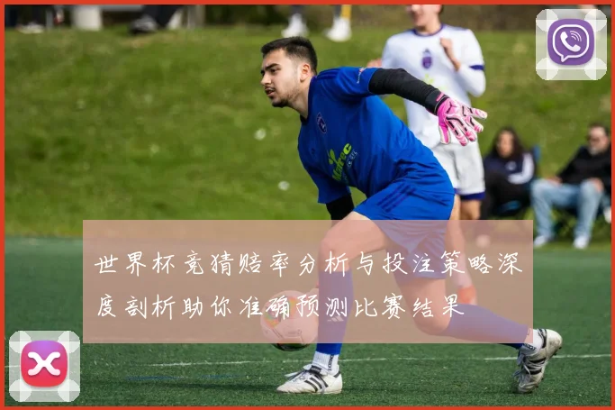 世界杯竞猜赔率分析与投注策略深度剖析助你准确预测比赛结果