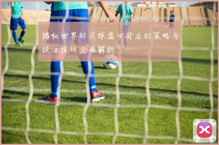 揭秘世界杯买球盘口背后的策略与投注技巧全面解析